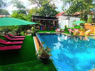 alpha gay resort adults only