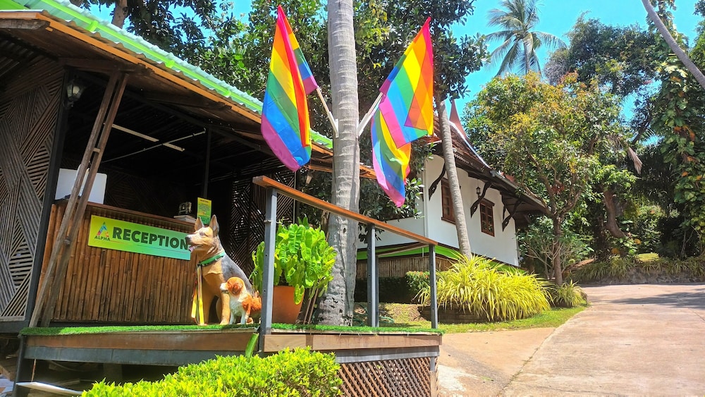 alpha gay resort adults only