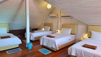 alpha gay resort adults only