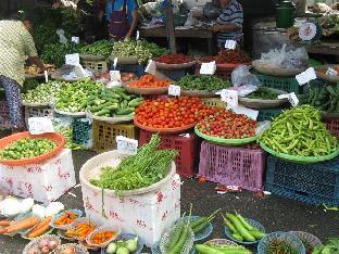 the all 24 luxury residence