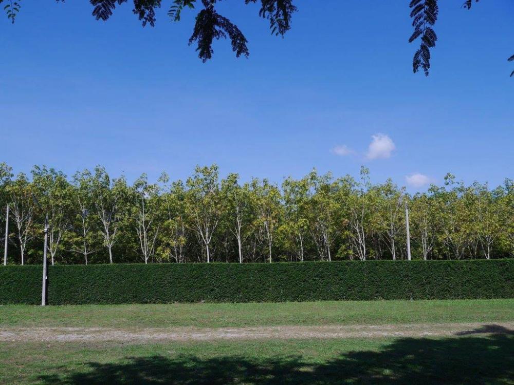 klang suan resort