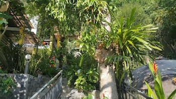 greenery resort koh tao