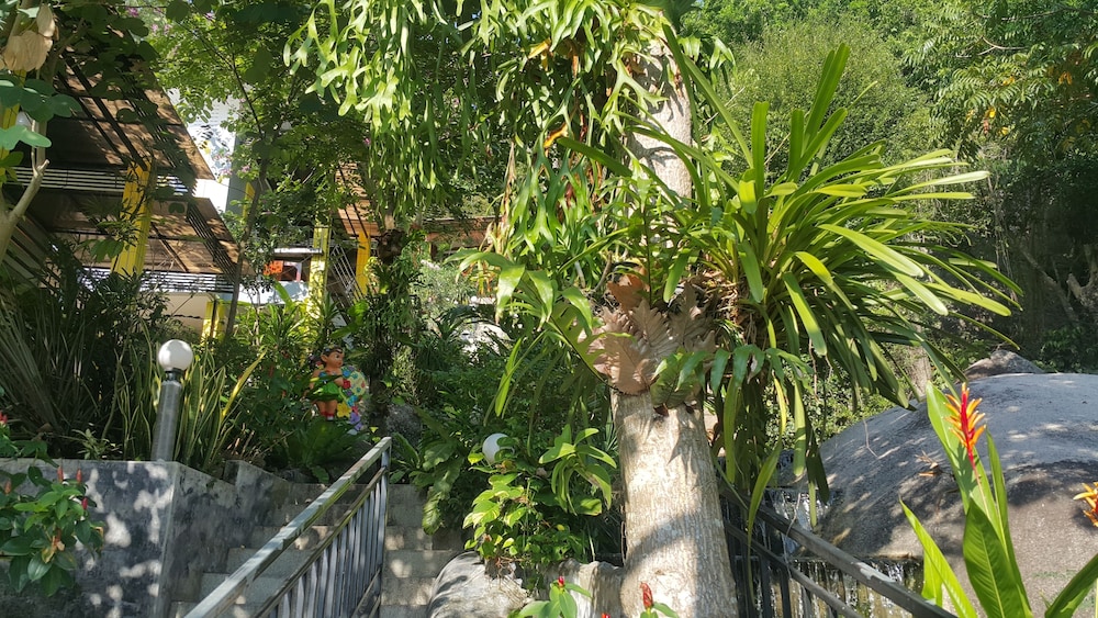 greenery resort koh tao