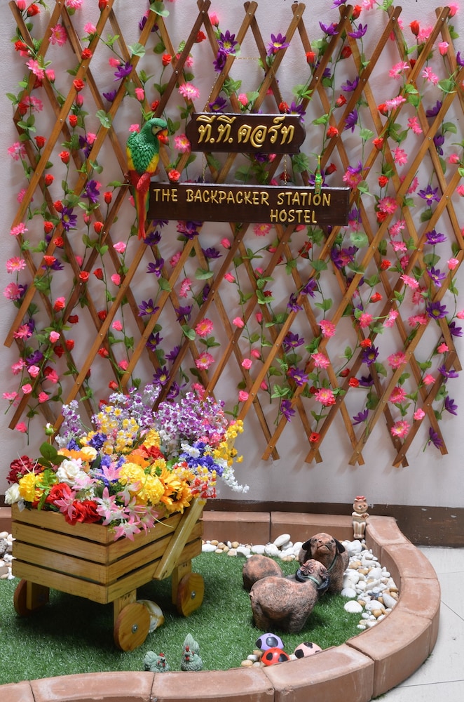 the backpacker station