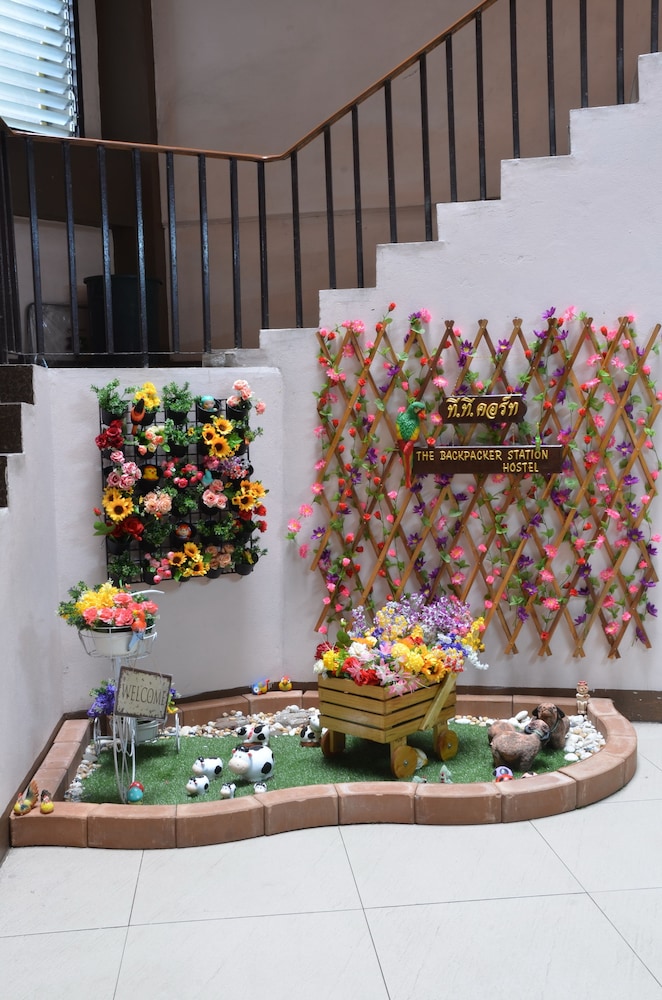 the backpacker station