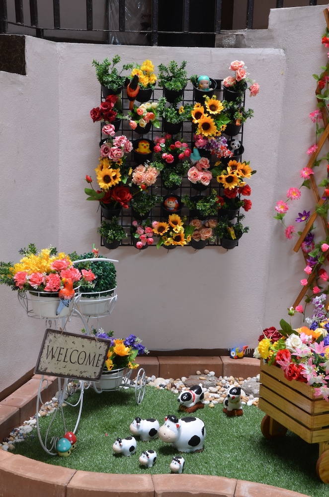 the backpacker station