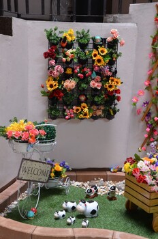 the backpacker station