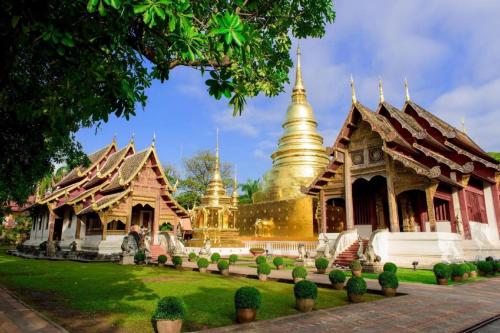 the connect chiang mai