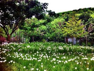 porploen hip resort at suanphung