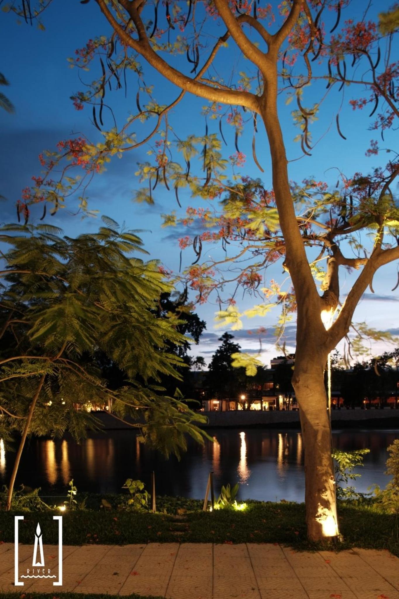 i river chiangmai