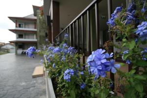 sirimunta hotel chiang rai