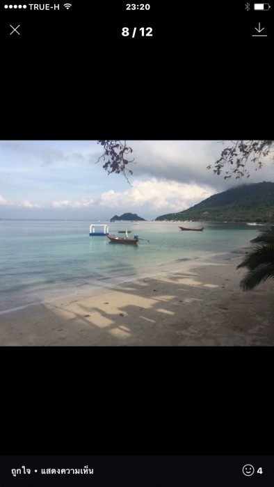koh tao