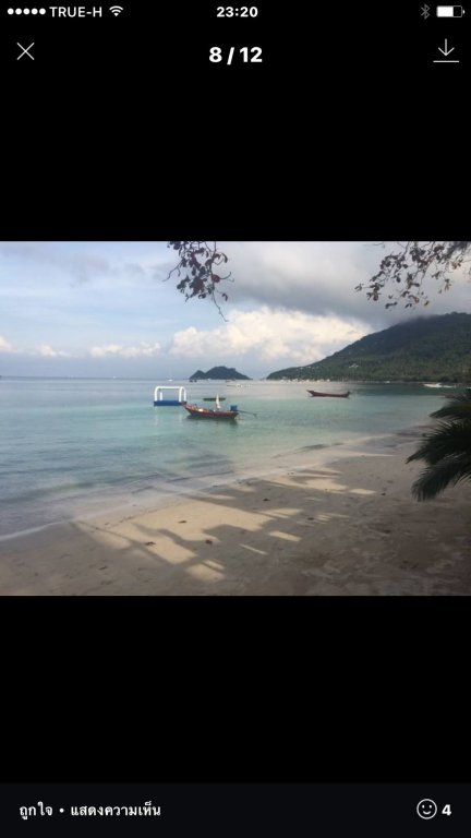 koh tao