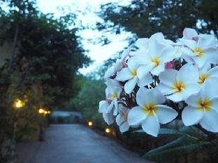 tai baan resort
