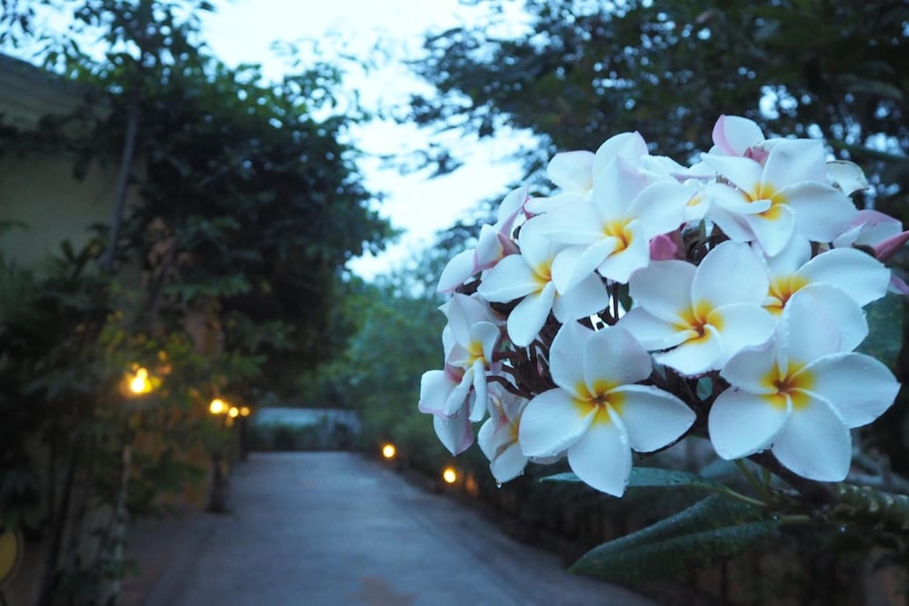 tai baan resort