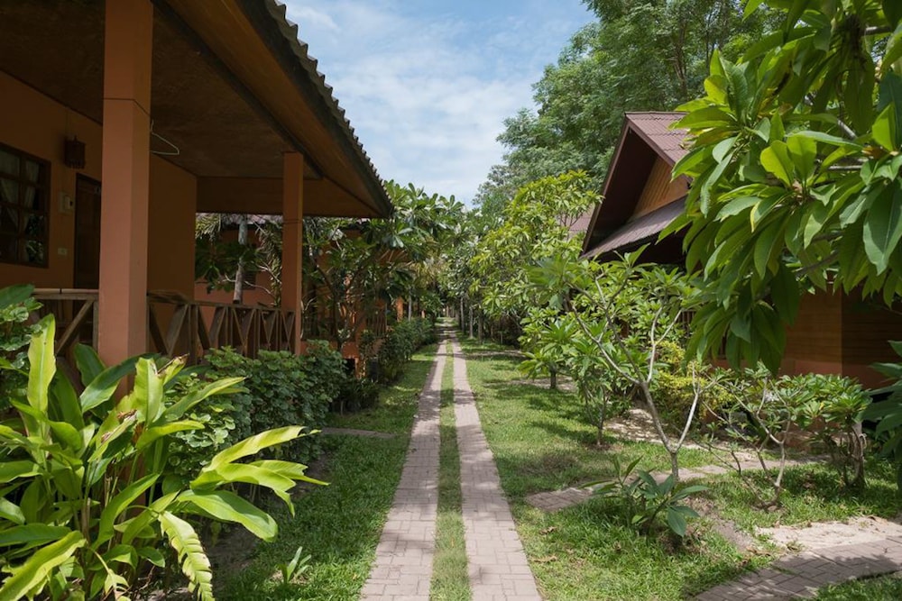 koh tao
