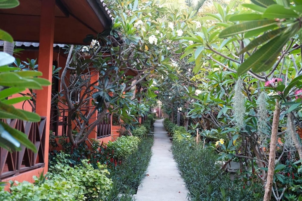 koh tao