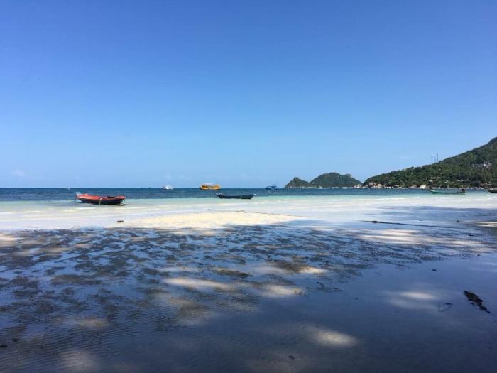 koh tao