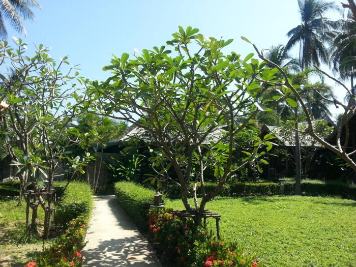 ko lanta
