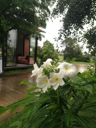 suwi coco ville resort