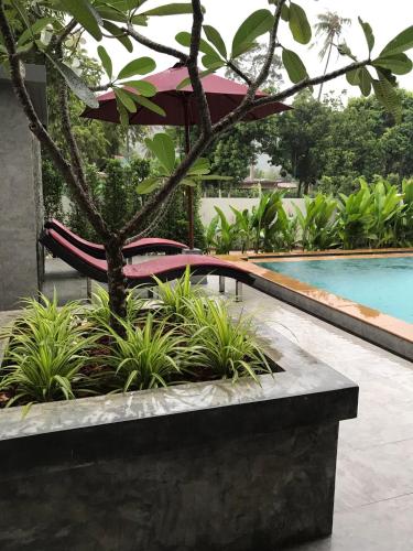 amarina green hotel
