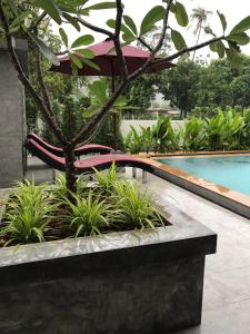 amarina green hotel