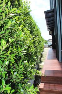 the logbook room and cafe