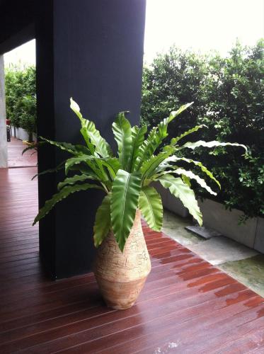 the logbook room and cafe