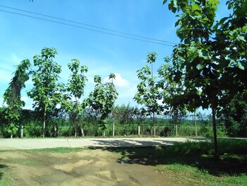 loei airport homestay