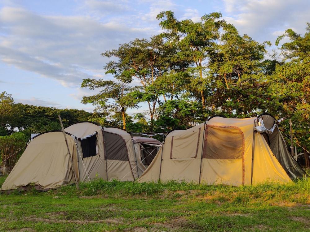 camp story chiangmai