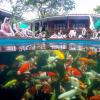 baan kornnara resort