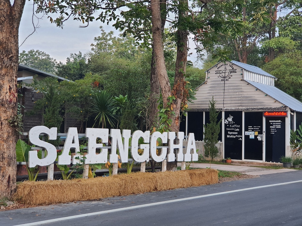 saengcha farm resort