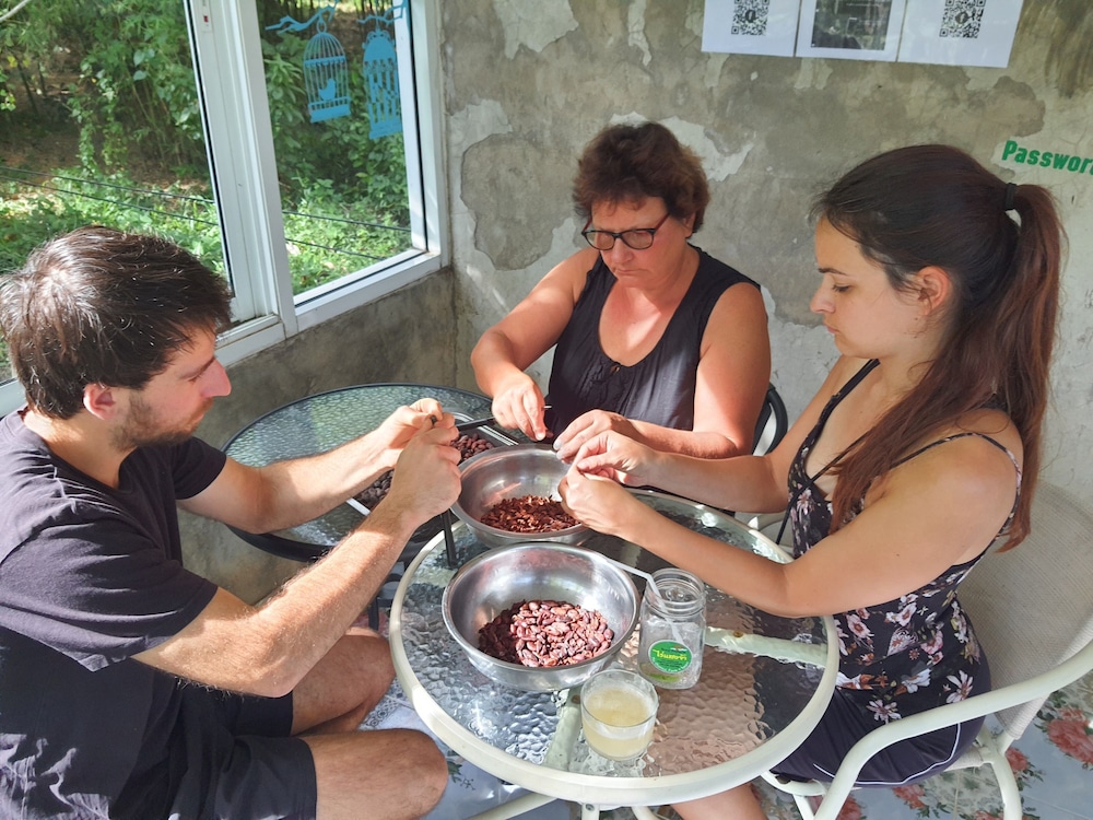 saengcha farm resort