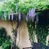 residence thibaud