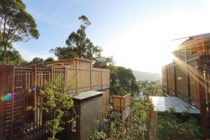 patong