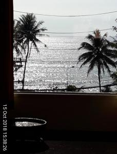 porterhouse beach hotel