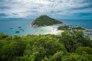 the ozo koh tao