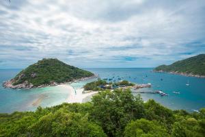 the ozo koh tao