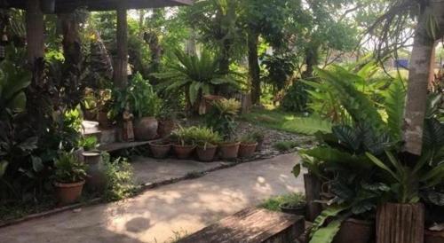 Phutawanchomdow,Phu Ruea>>Loei,2 star