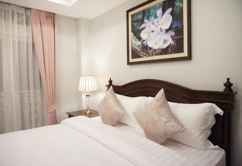 the velvet orchid
