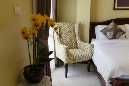 the velvet orchid