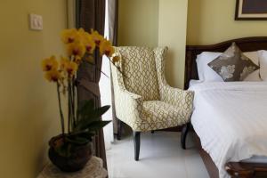 the velvet orchid
