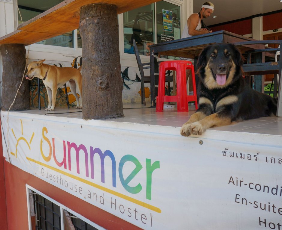 summer guesthouse and hostel