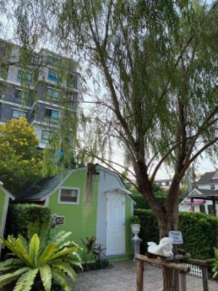 Kurina Hotel,In Bangkok (Bang Na),3 star