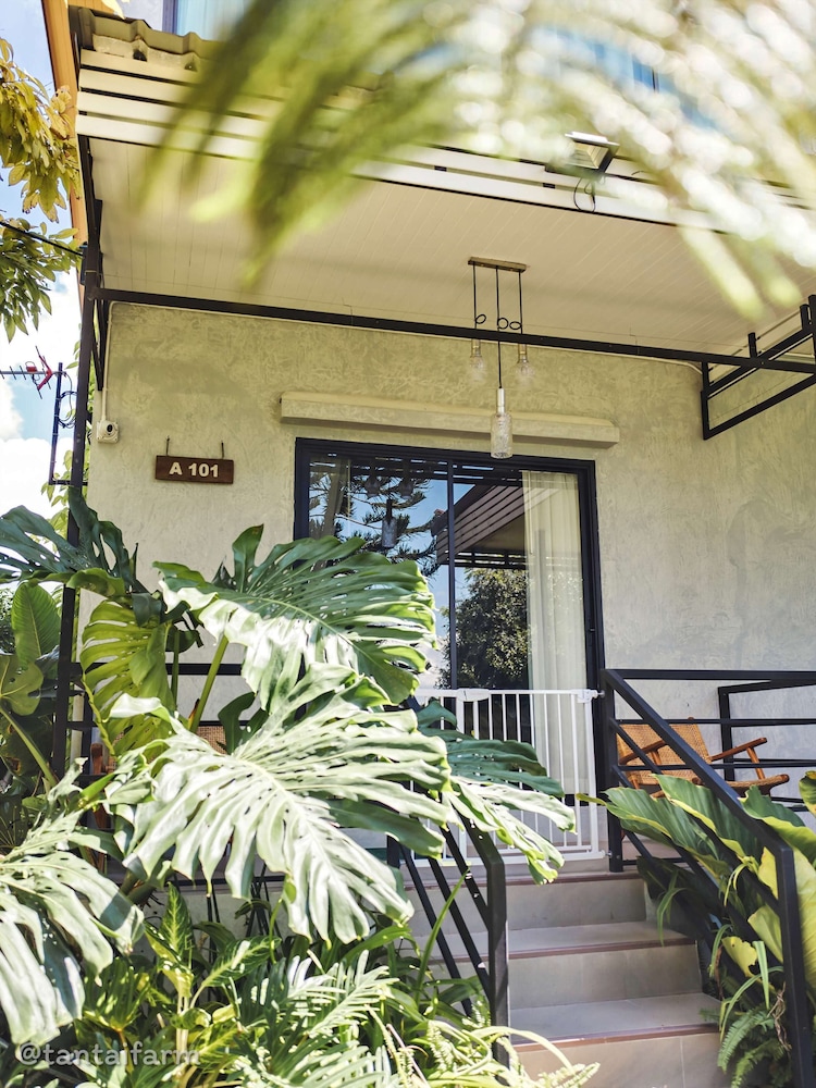 tantai eco farm stay at khao yai