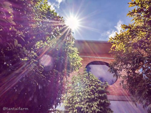 tantai eco farm stay at khao yai