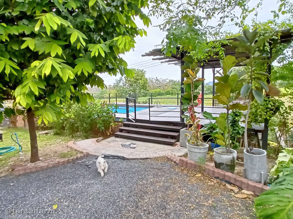 tantai eco farm stay at khao yai