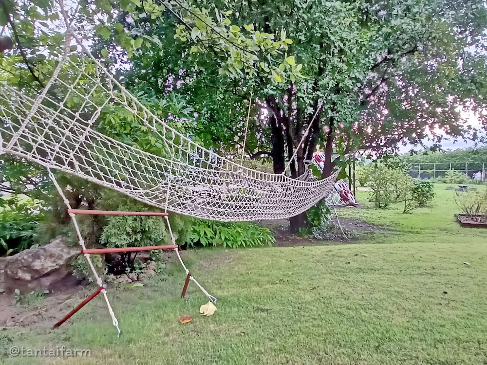 tantai eco farm stay at khao yai