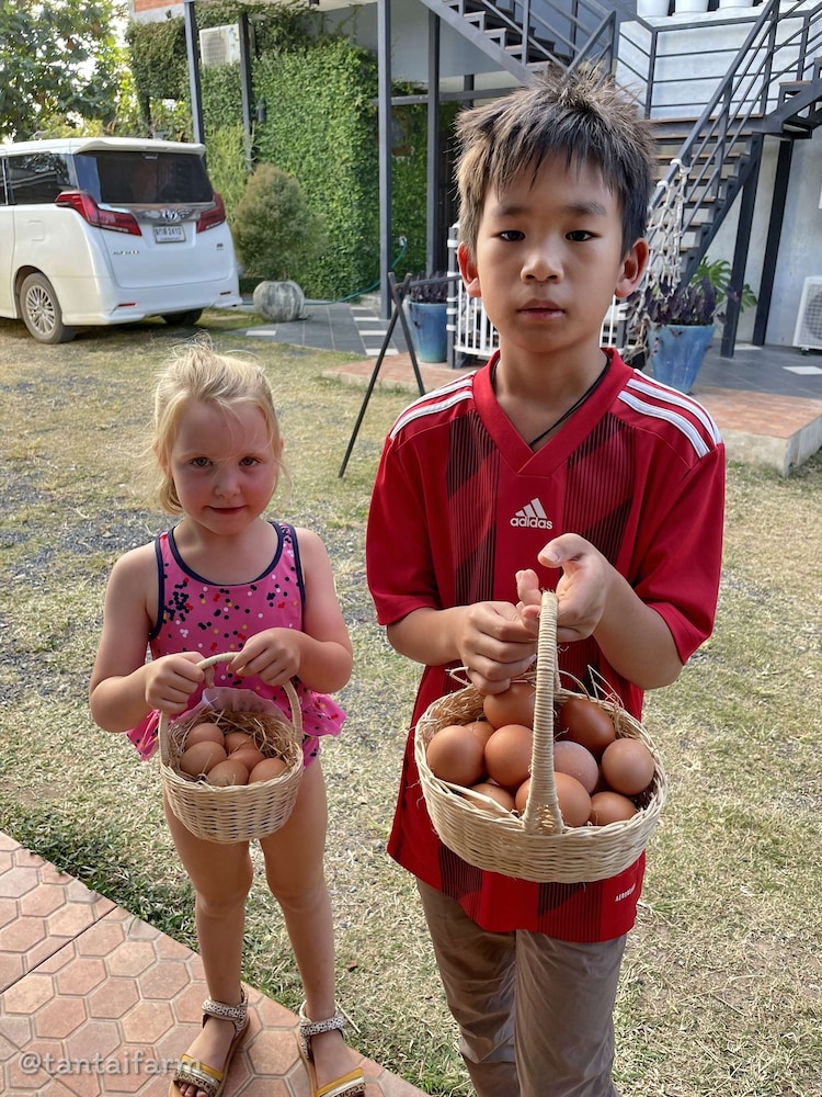 tantai eco farm stay at khao yai