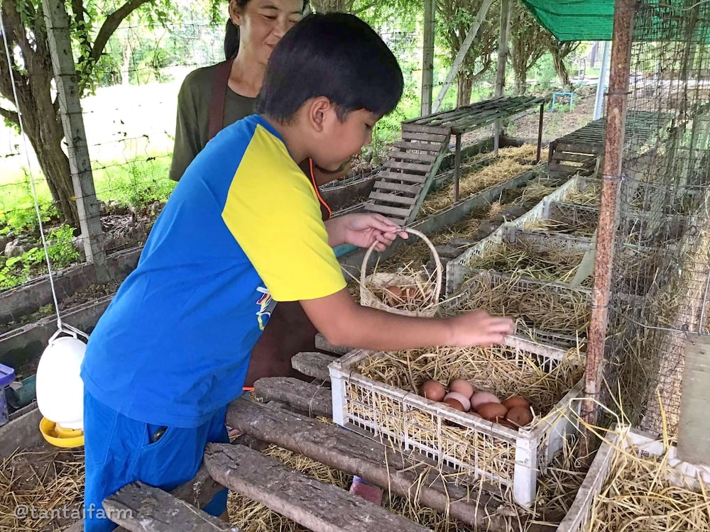 tantai eco farm stay at khao yai